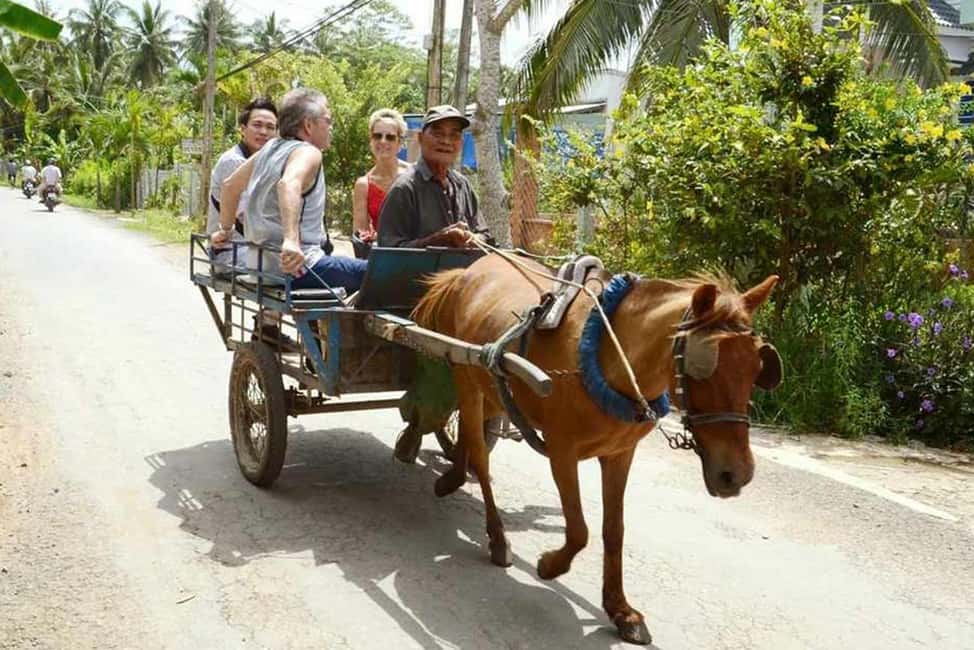 Ho Chi Minh Daily Tour: Full Day Mekong Delta (Private tour) - Unicorn Island: honey tasting, music from Đàn Ca Tài Tử, and sweet drinks