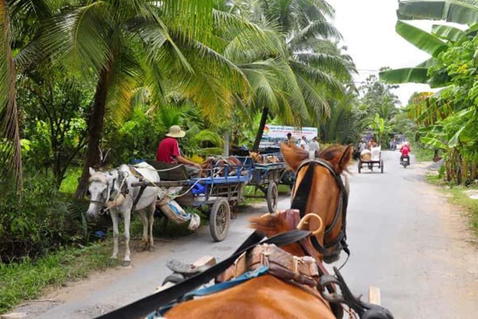 Ho Chi Minh Daily Tour: Full Day Mekong Delta (Private tour) - Horse cart and a hand-rowing sampan through shaded creeks