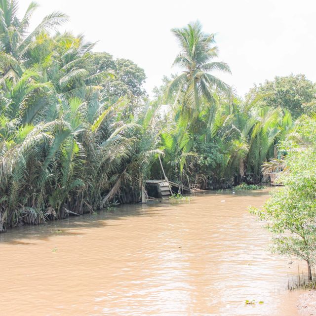 Ho Chi Minh: Mekong River Islands Private Excursion - An Khanh Sampan Paddling: Palm Canals Under Coconut Shade