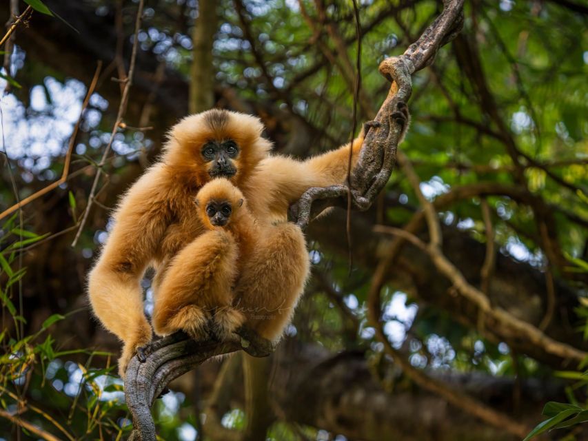 Ho Chi Minh to Cat Tien National Park – Dalat (3 days) - Wildlife spotting that actually helps: what to do with your eyes and ears