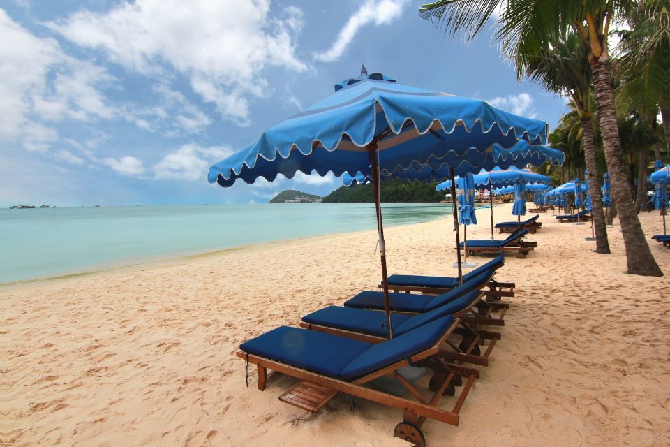 Ho Coc Beach, Nature Reserve & Dragon Fruit Farm Day Tour - Ho Cốc Beach time: private resort access and real beach relaxation