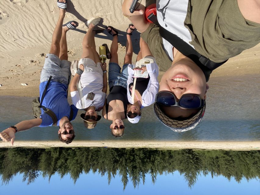 Ho Coc Beach, Nature Reserve & Dragon Fruit Farm Day Tour - Price and value: what $114 buys you (and what to compare)