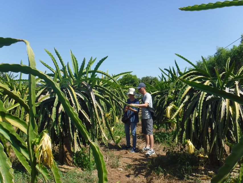 Ho Coc Beach, Nature Reserve & Dragon Fruit Farm Day Tour - Tips to make the most of this day