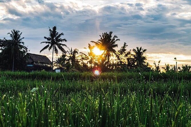 LUXURY Mekong 2 Days 1 Night SMALL GROUP Stay at Tiny Homestay with BBQ Dinner - Private transportation and small-group value: what you actually gain