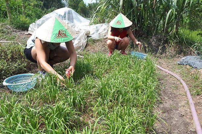 Market to Farm to Table Cooking Class in saigon - Price and Value: Is $70 a Good Deal in Saigon?