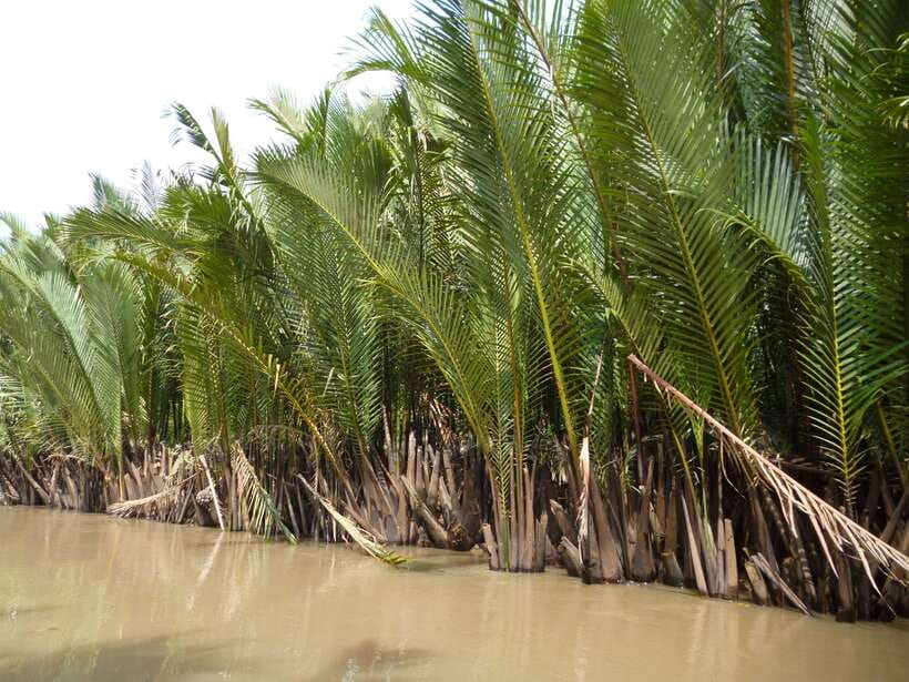 Mekong Day Tour by Car:Cai Be market, Local Island & Cycling - Coconut Candy, Honey Tea, and Puffed Rice: Snacks With Stories