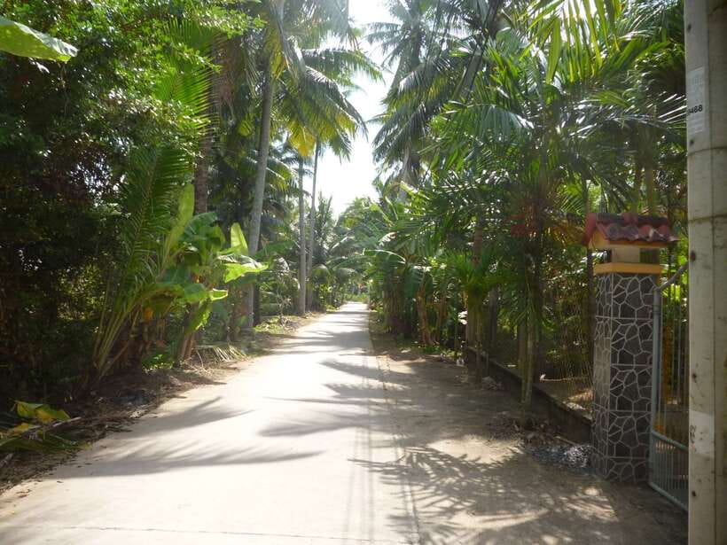 Mekong Day Tour by Car:Cai Be market, Local Island & Cycling - Getting From Ho Chi Minh City to the Delta Without Losing the Day