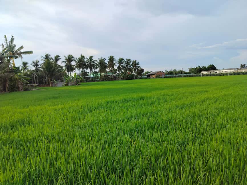 Mekong Day Trip Group 12pax Explore Bicycle & Cooking Class - Key things worth knowing before you go