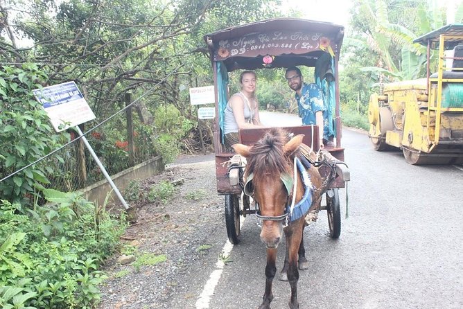 Mekong Delta Adventure by Private Car from Phu My Port - Who should book this Mekong Delta tour?