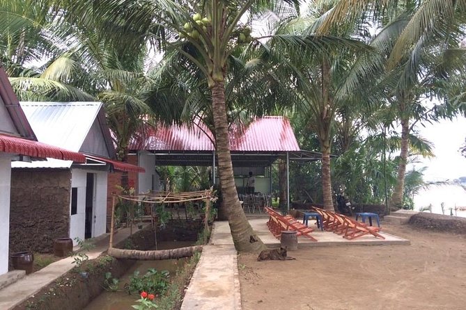 Mekong Delta Tour with Kayaking, Cycling and Cooking - Cồn Phụng and the water routes: motorboats, canals, and music
