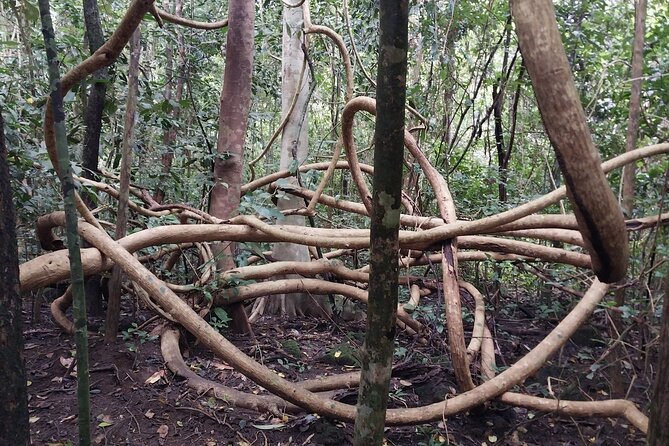 Nam Cat Tien National Park 2-Day Tour with Lodging, Meals.. - Quick Checklist: Make the Most of Cat Tien