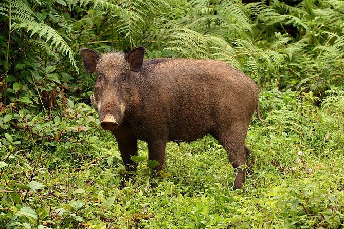 Nam Cat Tien National Park 2 Days 1 Night - Private Tour - Price and value: what $315 includes and why it can be fair