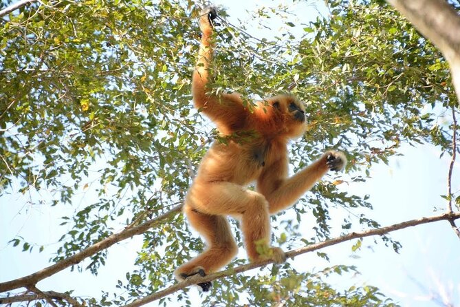 Nam Cat Tien National Park 2 Days 1 Night - Private Tour - Night wildlife jeep: the best reason to stay overnight