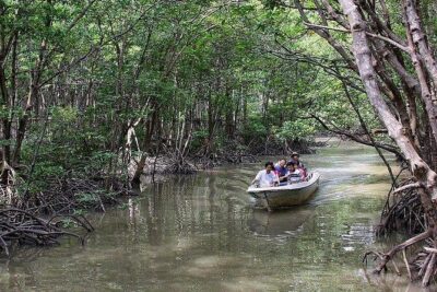 Private Can Gio Mangrove Eco Tour – Boat & Wildlife - Monkey Island and the Crocodile Farm: Animal Encounters You Can Read Easily