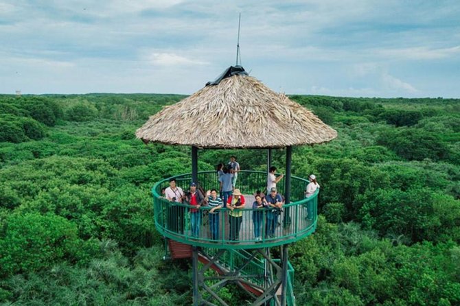 Private Can Gio Mangrove Eco Tour – Boat & Wildlife - Price and Value: Why $147 Can Make Sense for a Private Day