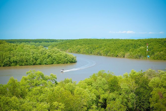 Private Can Gio Mangrove Eco Tour – Boat & Wildlife - Should You Book This Private Can Gio Mangrove Eco Tour?