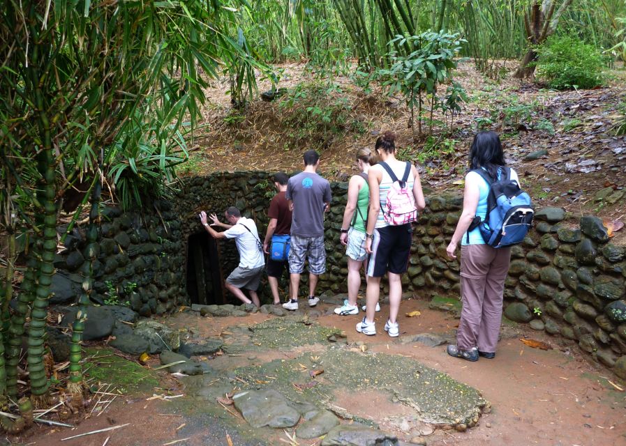 Private Cu Chi & Mekong Delta Tour: History Meets Nature - The guerrilla-food stop: cassava and tea with meaning