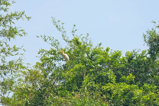 Private Full Day Mekong Delta Tour to Dong Thap Muoi Wetlands - Key highlights worth planning for