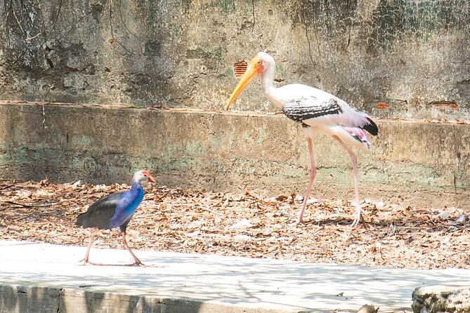 Private Full Day Mekong Delta Tour to Dong Thap Muoi Wetlands - Melaleuca forest walking at Đồng Tháp Mười Ecological Reserve