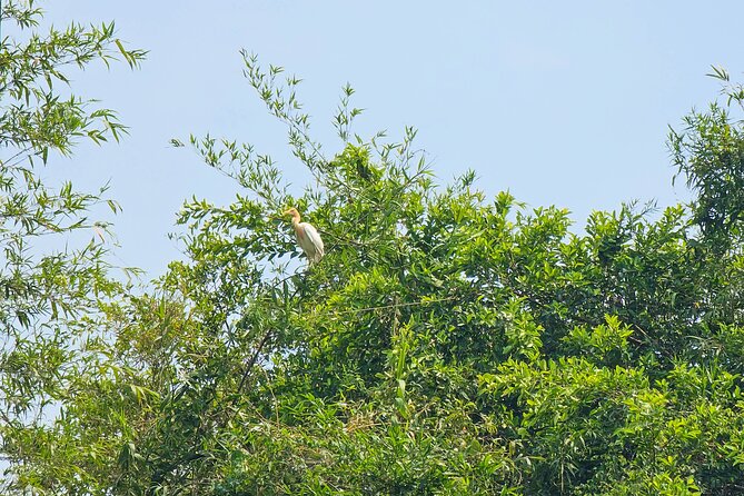 Private Full Day Mekong Delta Tour to Dong Thap Muoi Wetlands - Price and logistics: why $128 per person can feel fair