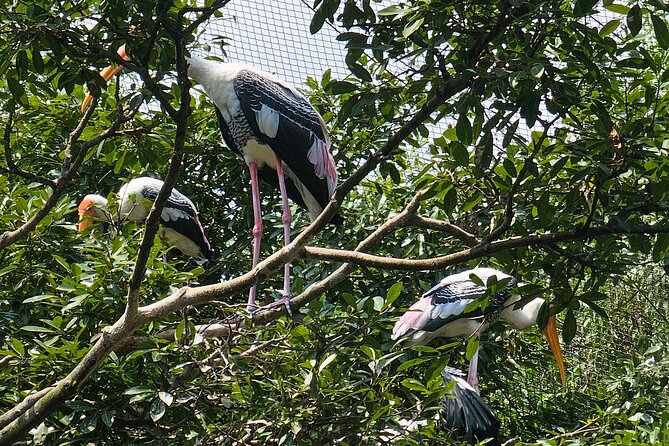 Private Full Day Mekong Delta Tour to Dong Thap Muoi Wetlands - Guides are the difference maker (and they get high marks)