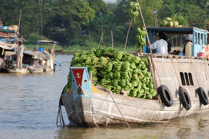 PRIVATE LUXURY Mekong Delta full day from HCM city - Key things to know before you go