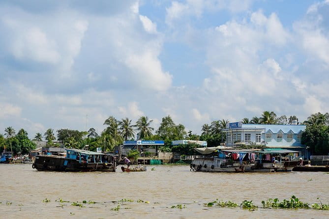 Private Mekong Delta tour to Cai Be – Tan Phong island full day - Tan An Rice Fields and the Tan Phong Orchard World