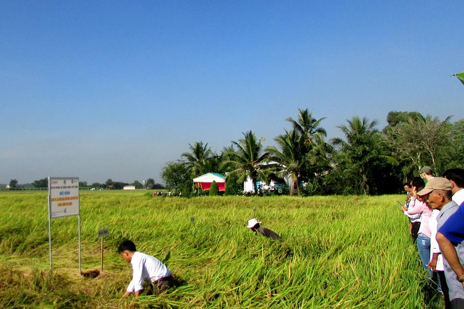 PRIVATE The Tunnels Of Cu Chi Half day tour - Crawling the Cu Chi tunnels: small holes, big reality