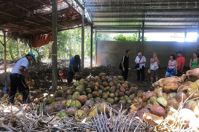 Private tour: Explore the authentic rural life in Ben Tre - Riverside Food Stop: When Lunch Is Optional (and Useful)