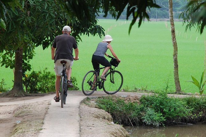 Private Tour Mekong Delta Day Trip from Ho Chi Minh City - Sampan Canals Under Water Coconut Trees: Scenic, But Plan for Transfers