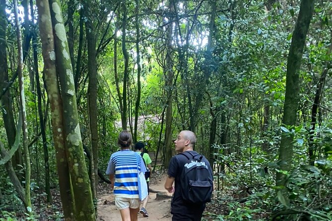 Private VIP Cu Chi Tunnels Tour by Car, No Crowds - The ride out of Saigon: green rice fields and fewer typical tourist stops