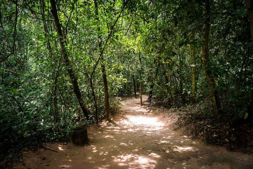 Small Group Full-Day Cu Chi Tunnels and Mekong Trip - How Long Is This Day, Really? The Road Time Factor
