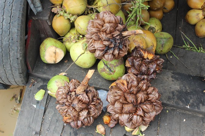 Small Group To Mekong Delta 1 Day - Should You Book This 1-Day Mekong Delta Tour?