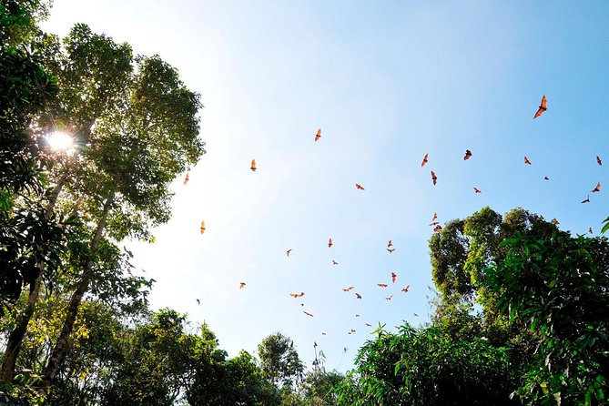 Small-Group Tour to Can Gio Vam Sat Mangrove Forest - What makes this tour good value for $129