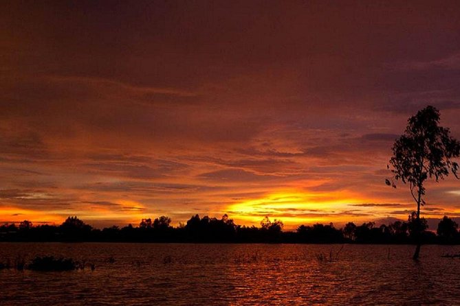 Sunset cruise and Saigon by night tour - Dinner choices at 7:30 pm: Banh Xeo, fine dining, or live music by the canal