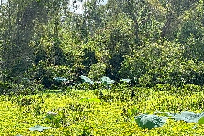 Tan Lap Floating Village Authentic Mekong Delta Nature Tour - The local market stop: see daily Mekong Delta life first