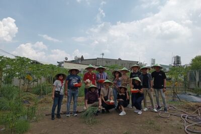 Unique Farm to Table Cooking Class with Top Chef in Vietnam - Harvest time: vegetables, mushrooms, herbs, and spices in your hands