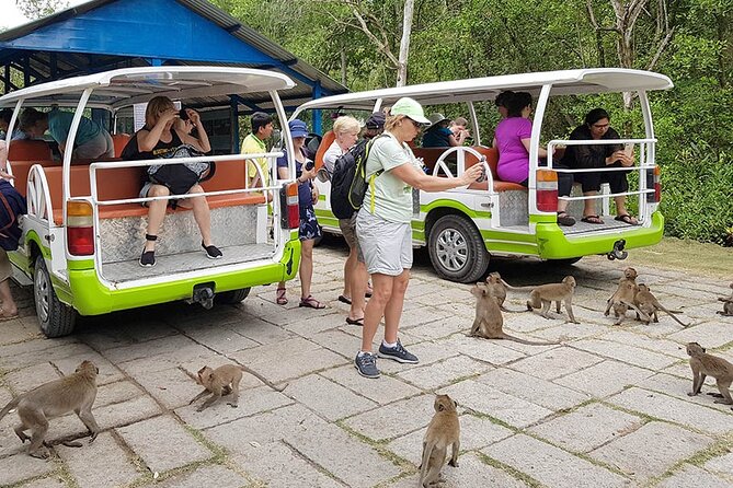 VIP Tour in Vam Sat: Can Gio Mangrove Forest by SpeedBoat - Wildlife spotting targets: king cobras, crocodiles, and pelicans (with realism)